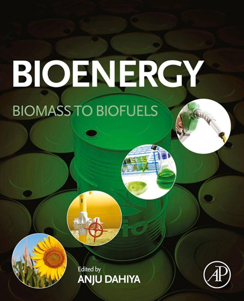 Big bigCover of Bioenergy