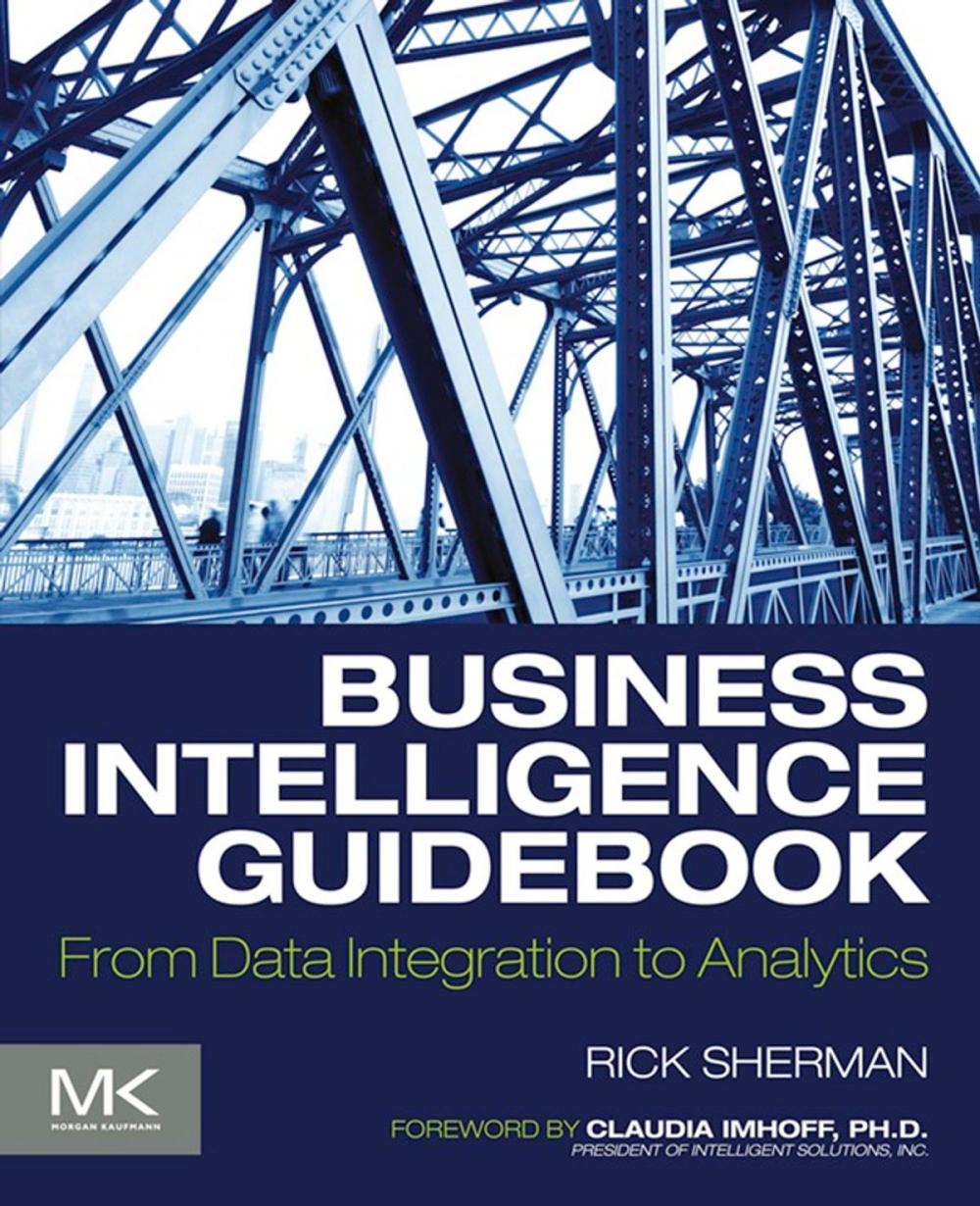 Big bigCover of Business Intelligence Guidebook