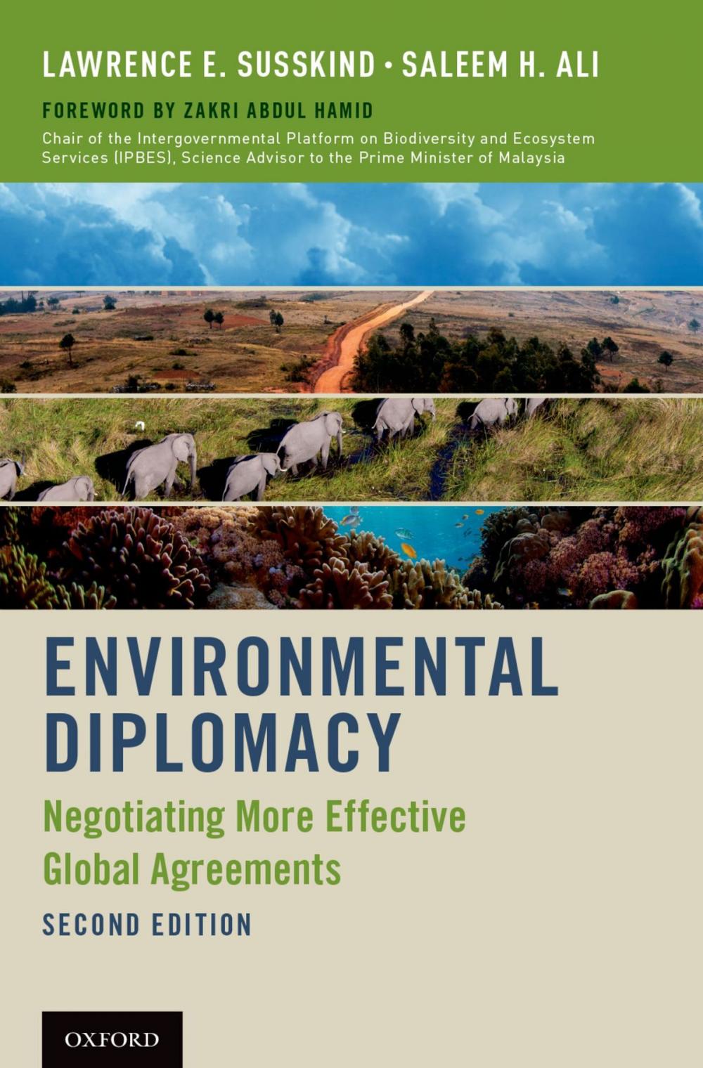 Big bigCover of Environmental Diplomacy