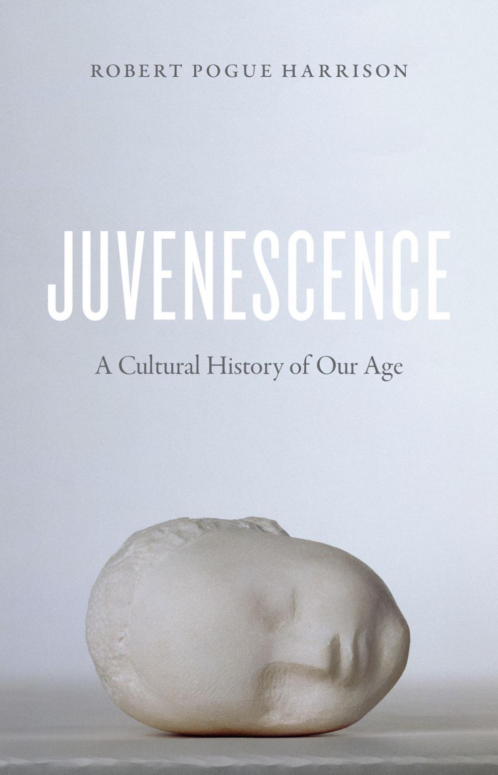 Big bigCover of Juvenescence