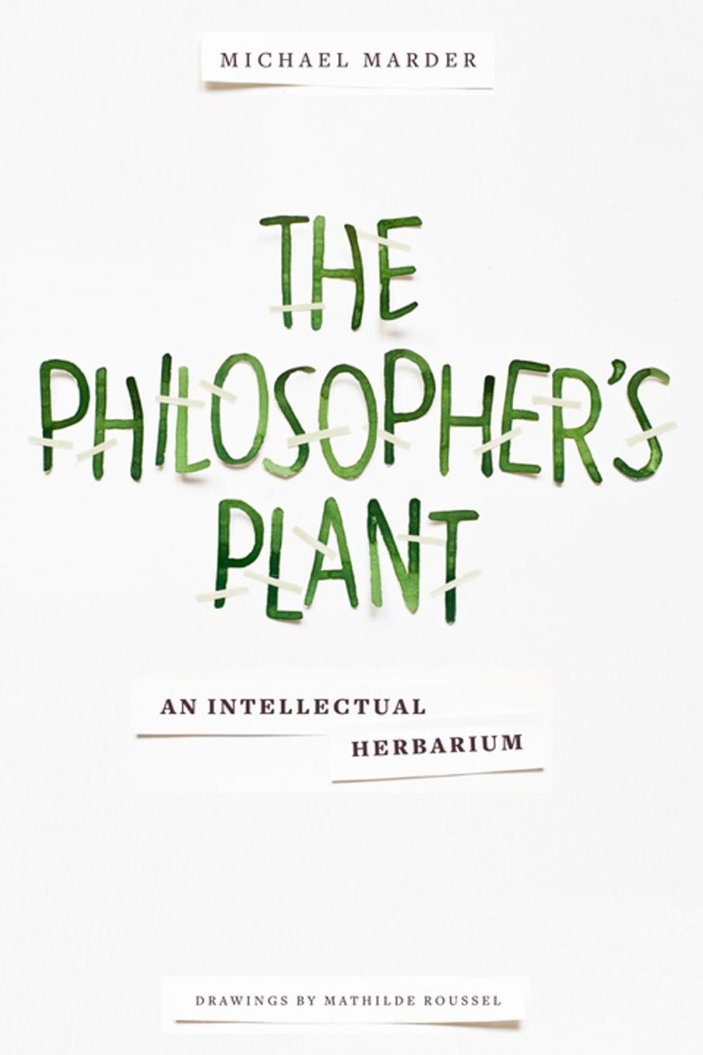 Big bigCover of The Philosopher's Plant