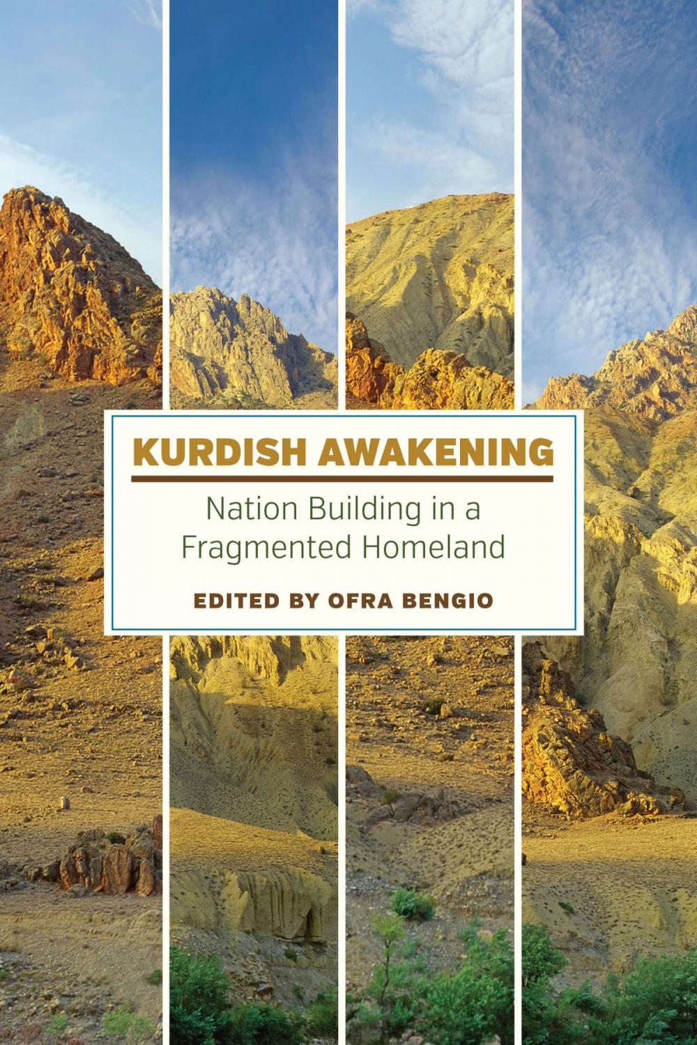 Big bigCover of Kurdish Awakening