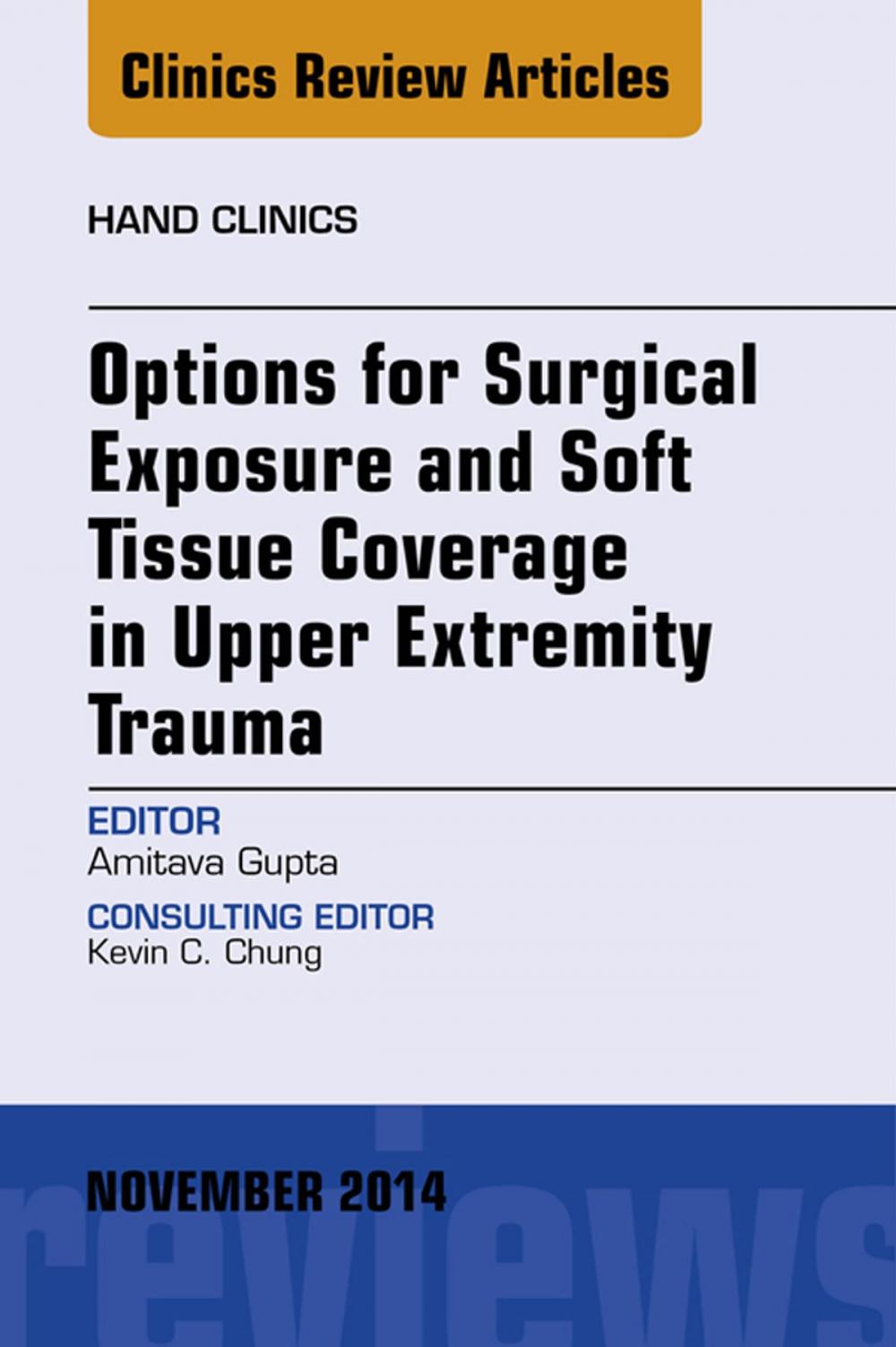 Big bigCover of Options for Surgical Exposure & Soft Tissue Coverage in Upper Extremity Trauma, An Issue of Hand Clinics, E-Book