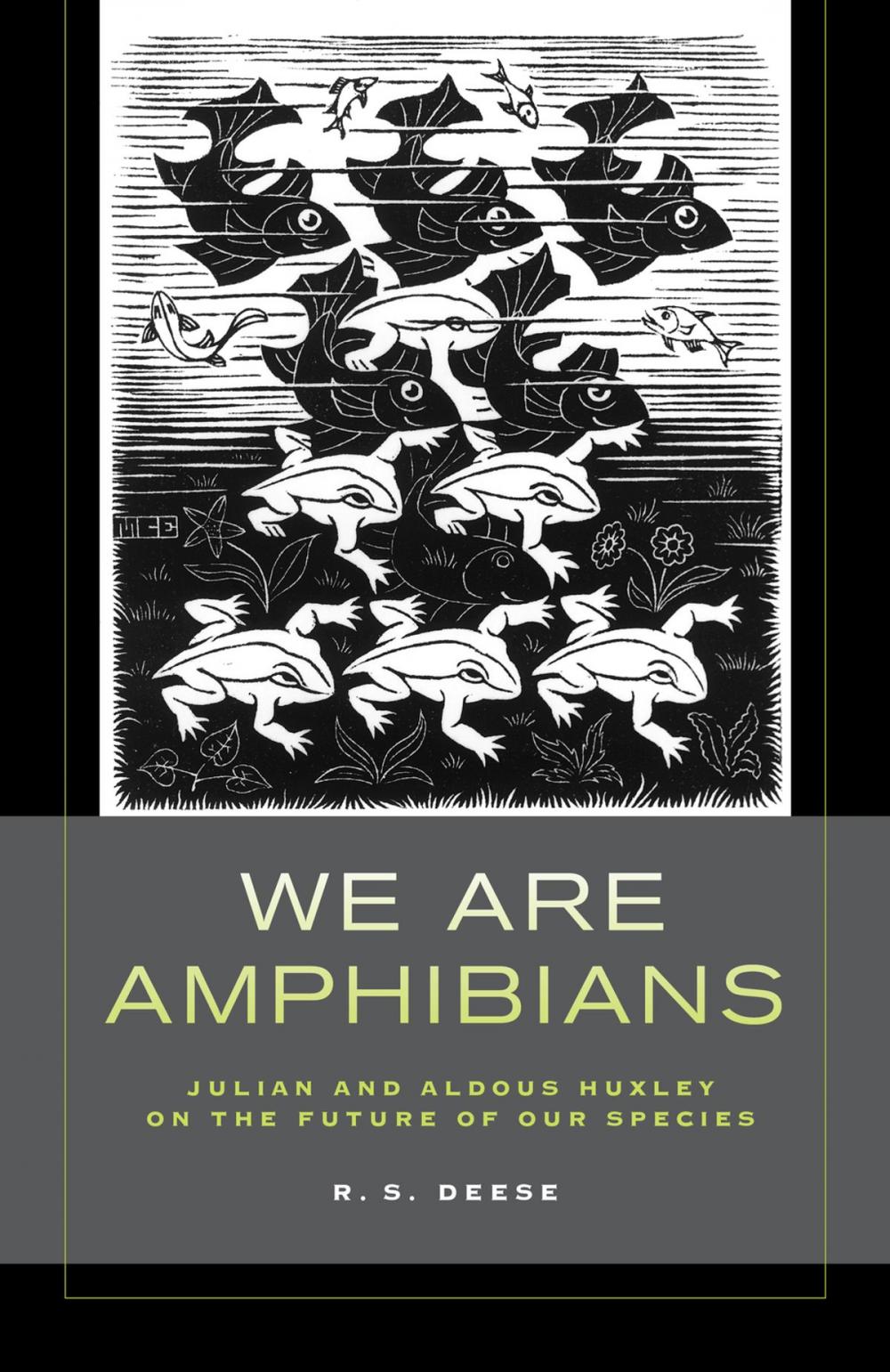 Big bigCover of We Are Amphibians