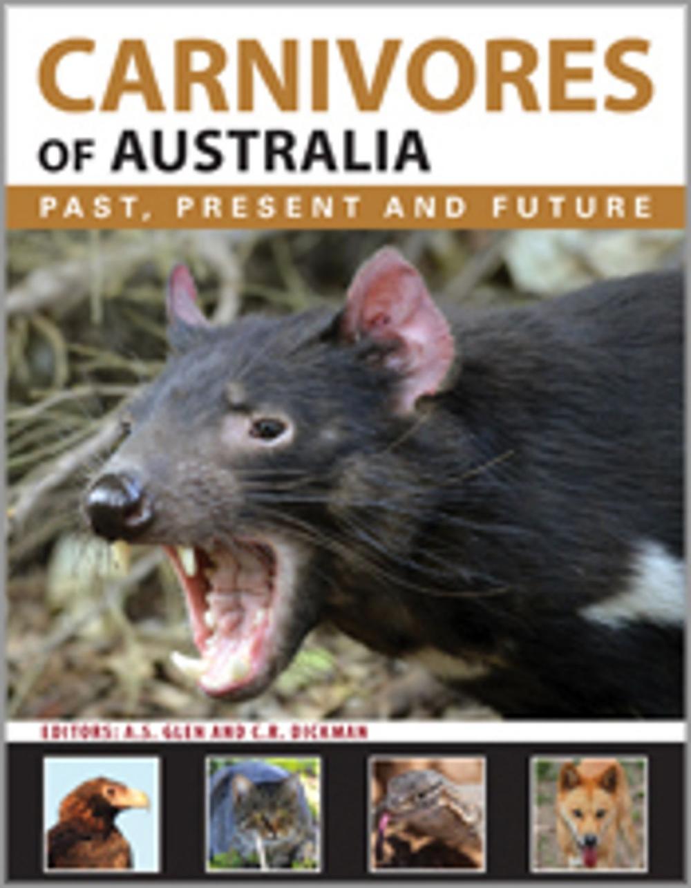 Big bigCover of Carnivores of Australia