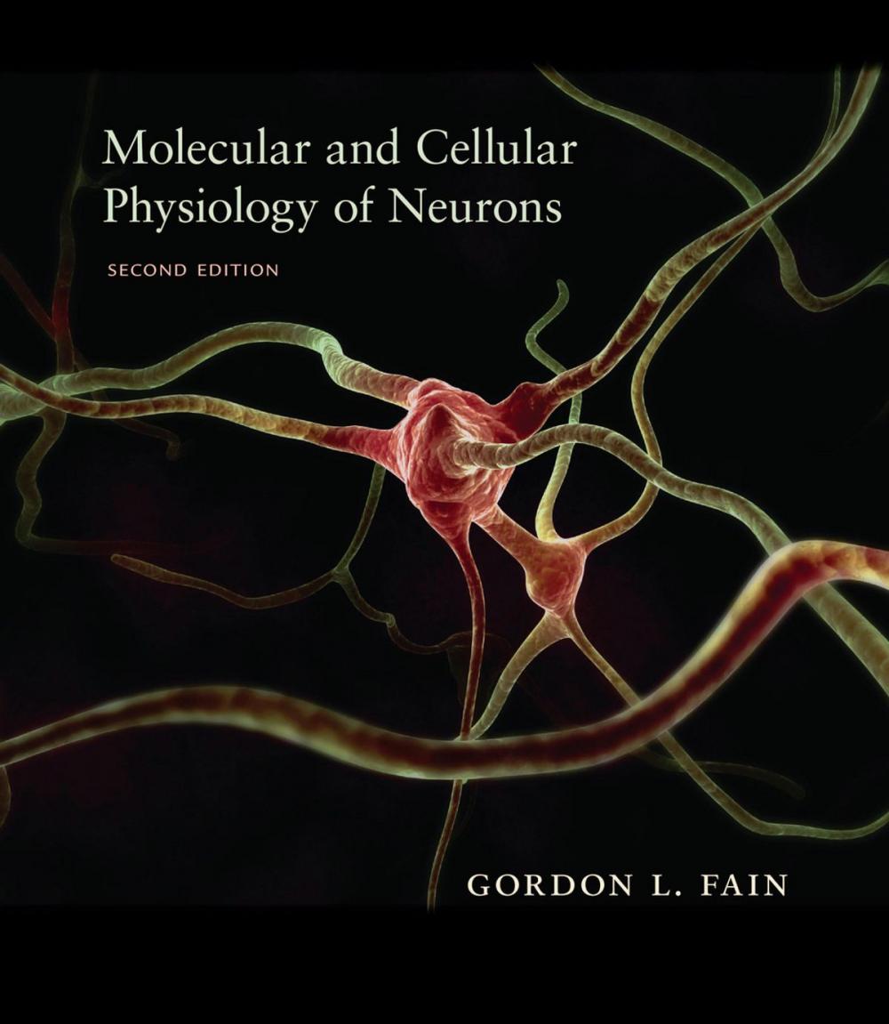 Big bigCover of Molecular and Cellular Physiology of Neurons, Second Edition