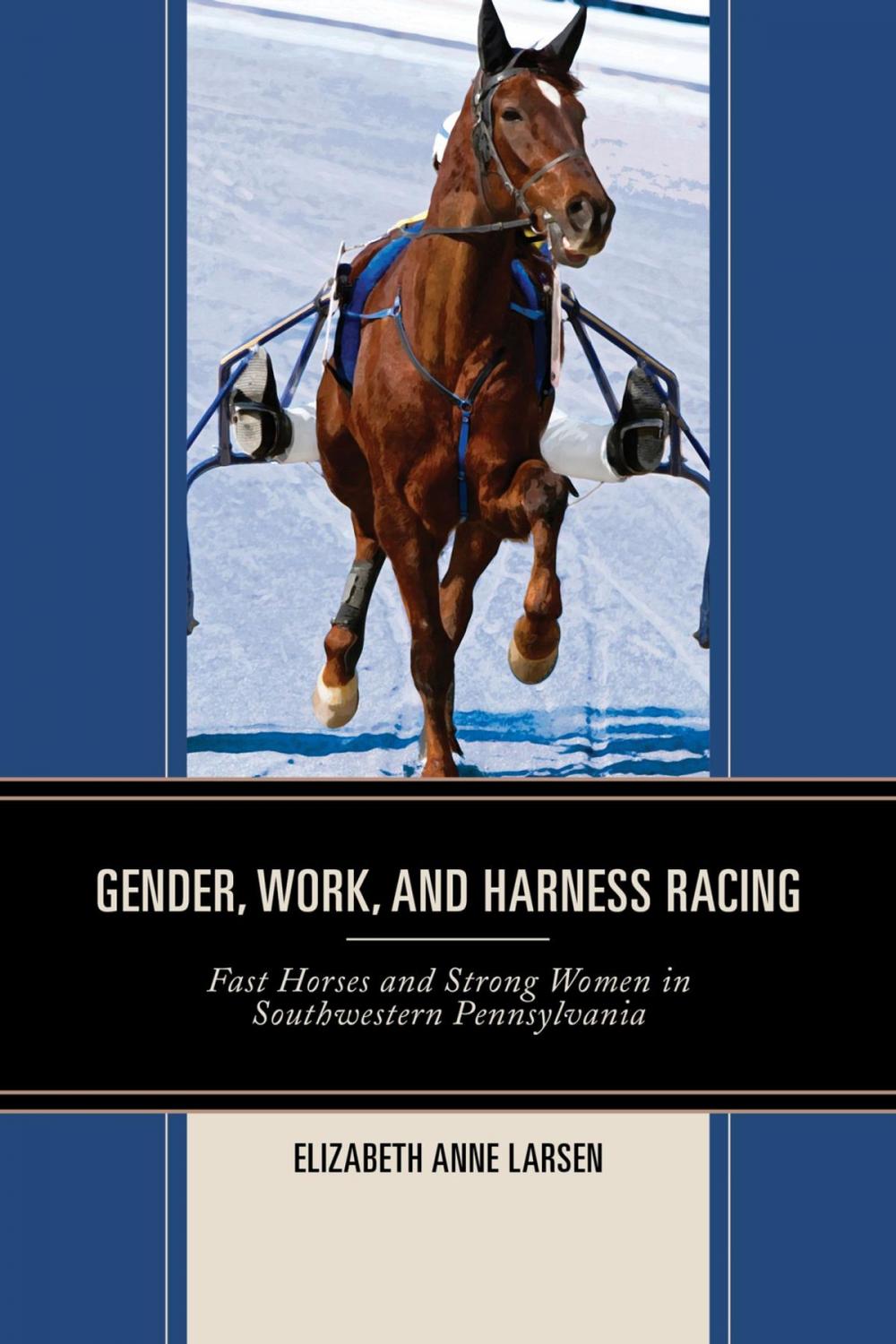 Big bigCover of Gender, Work, and Harness Racing