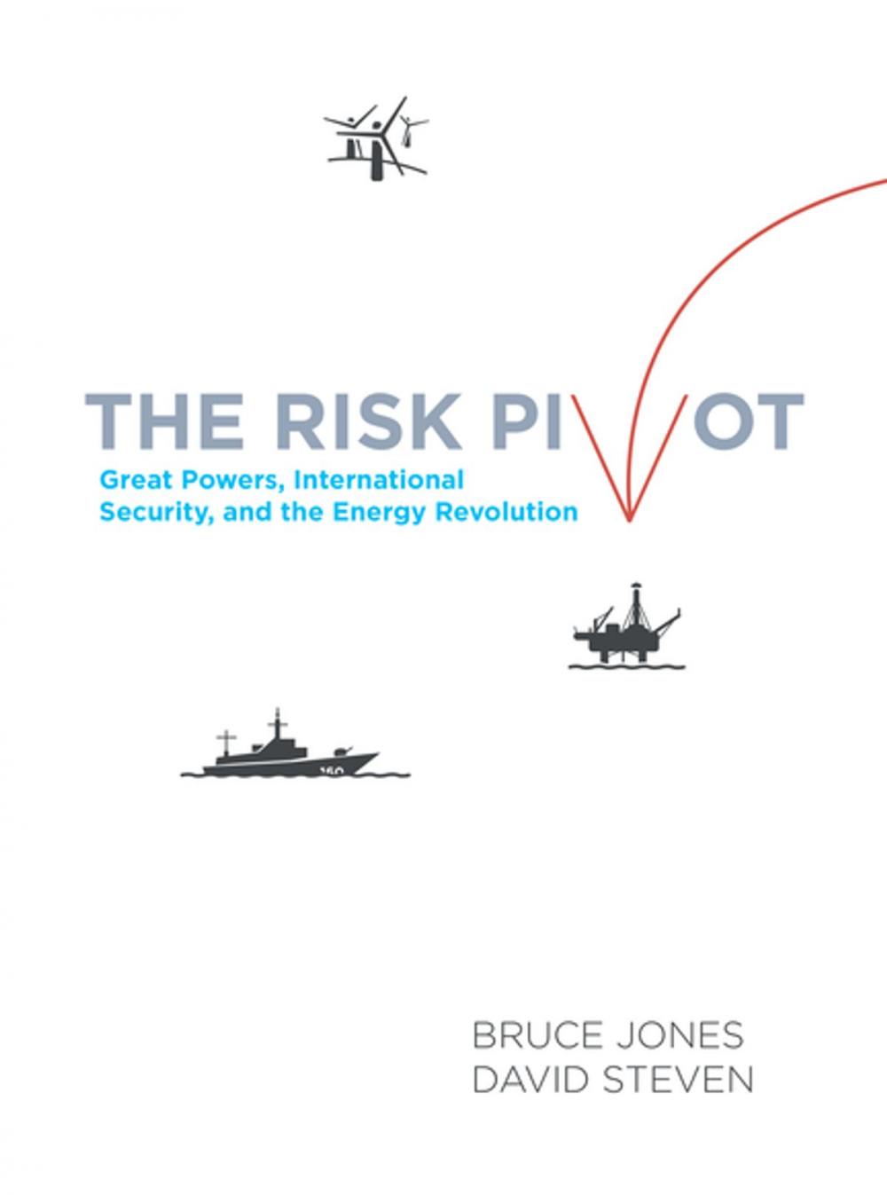 Big bigCover of The Risk Pivot