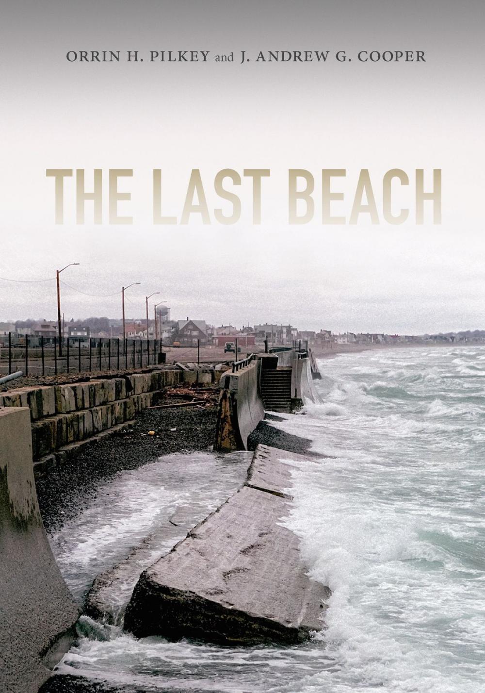 Big bigCover of The Last Beach