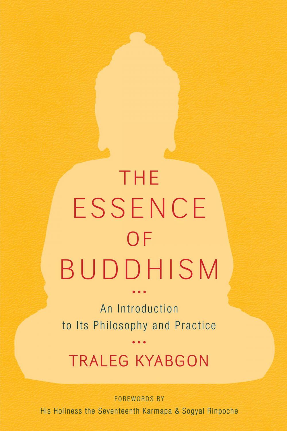 Big bigCover of The Essence of Buddhism