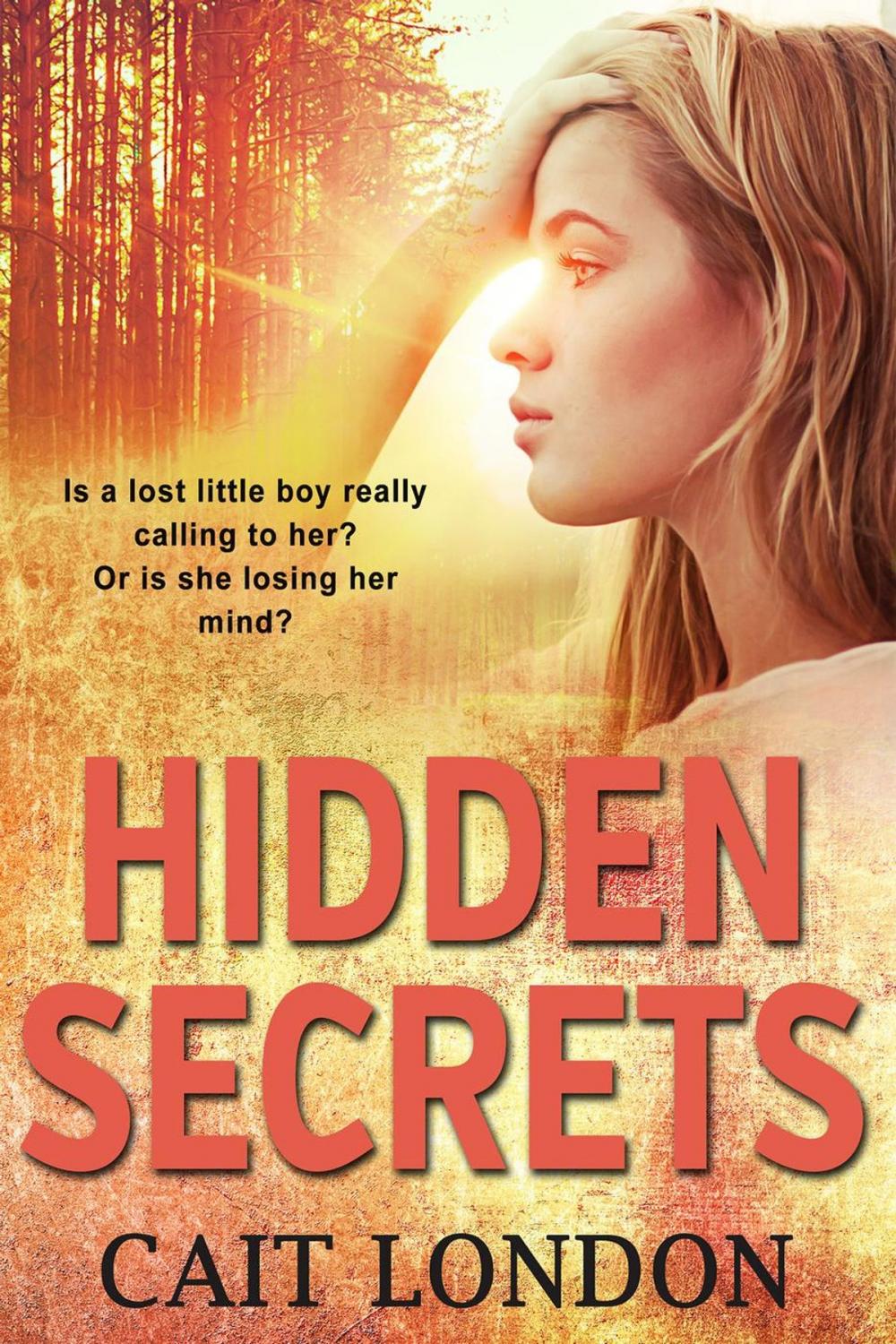 Big bigCover of Hidden Secrets