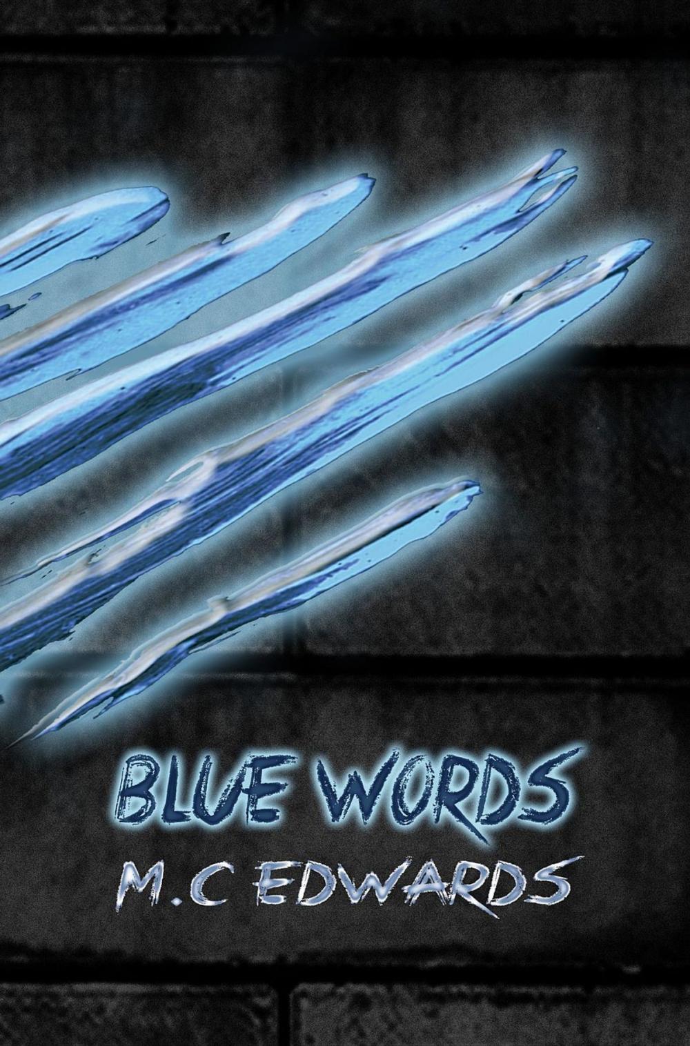 Big bigCover of Blue Words