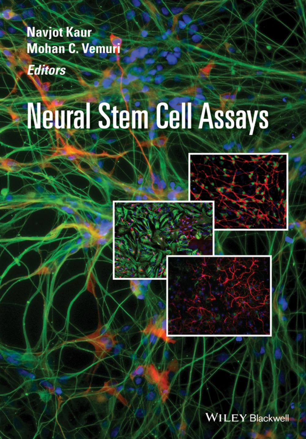 Big bigCover of Neural Stem Cell Assays