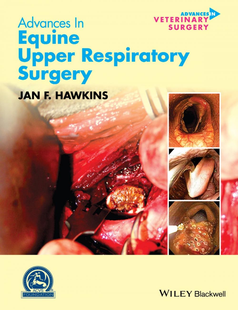 Big bigCover of Advances in Equine Upper Respiratory Surgery