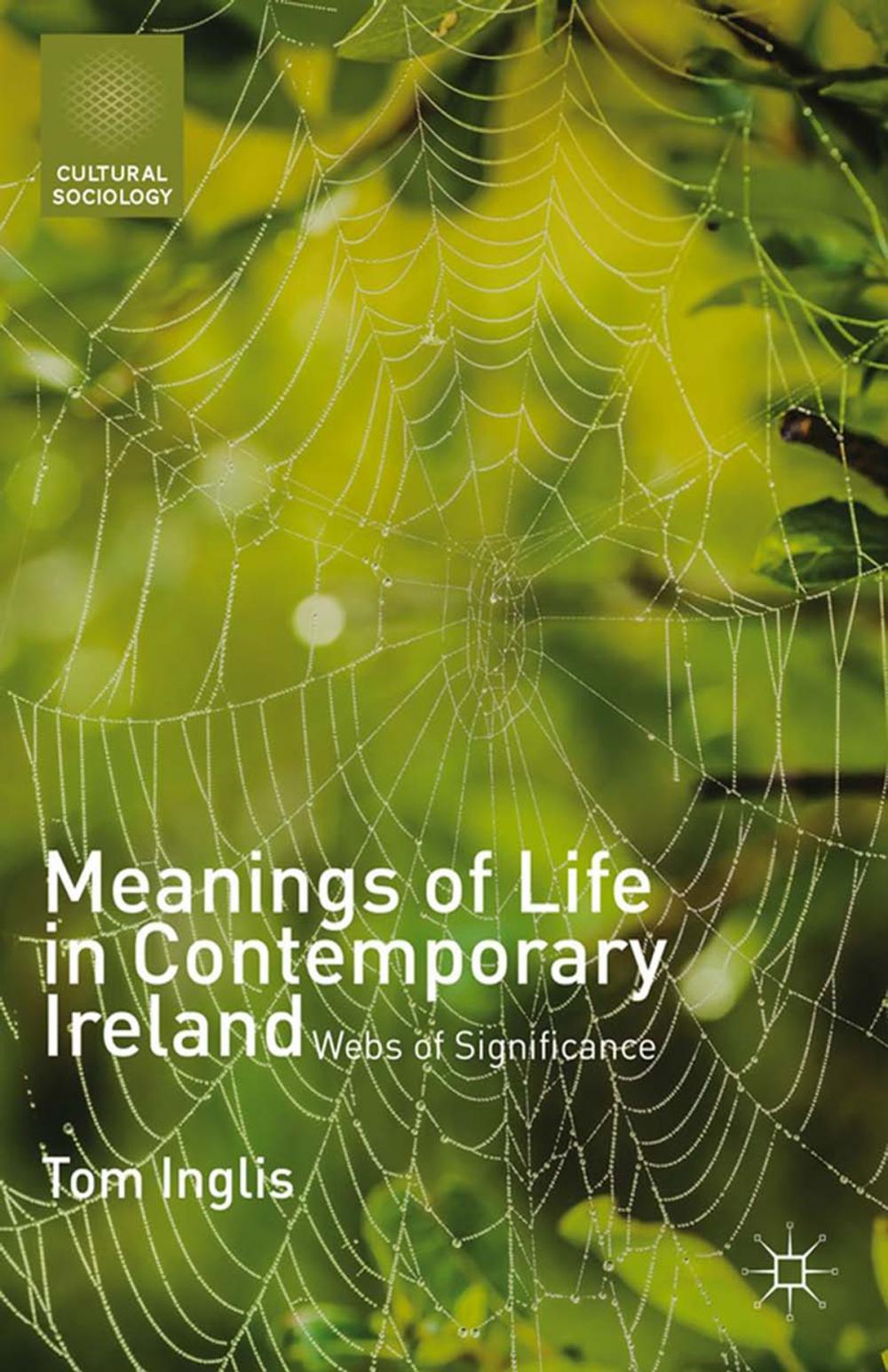 Big bigCover of Meanings of Life in Contemporary Ireland