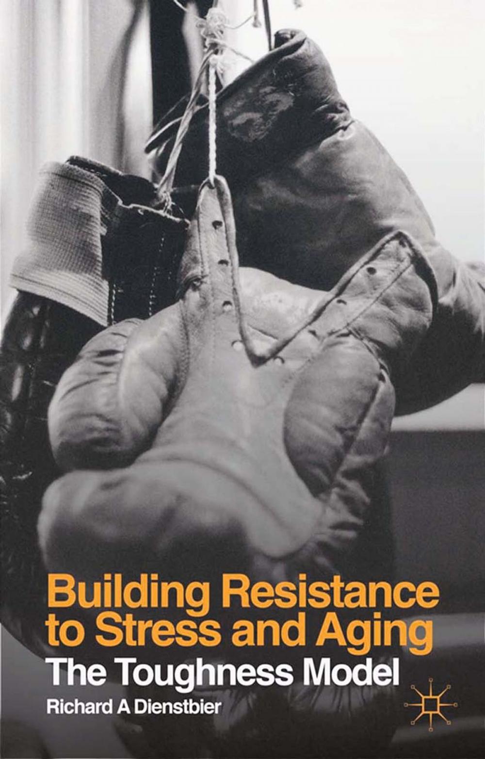 Big bigCover of Building Resistance to Stress and Aging