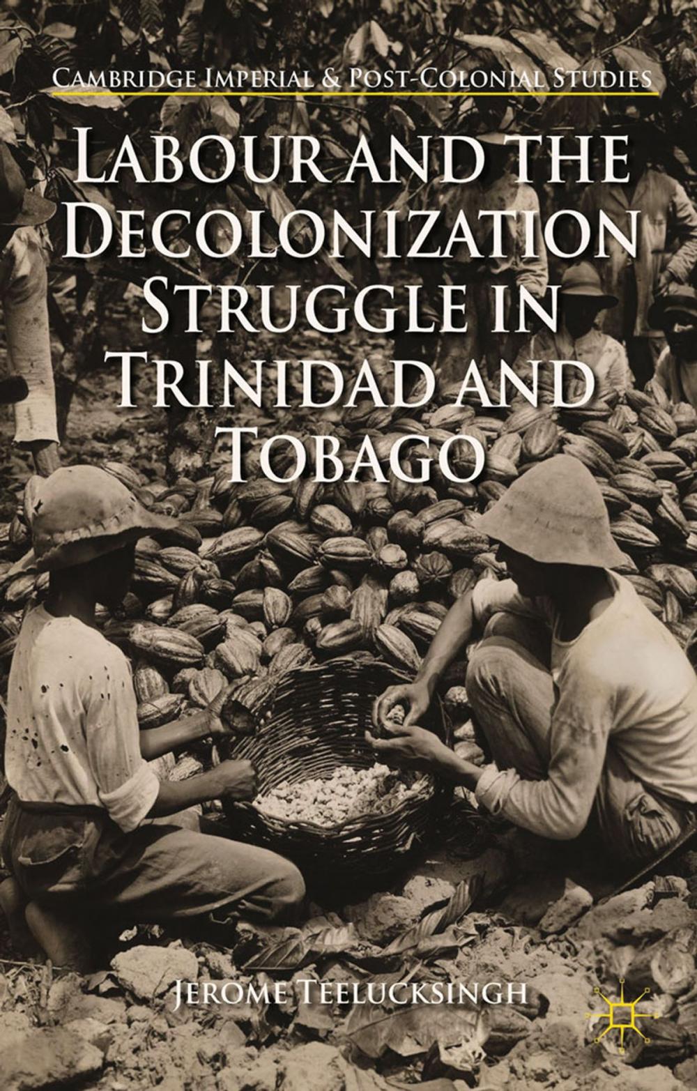 Big bigCover of Labour and the Decolonization Struggle in Trinidad and Tobago