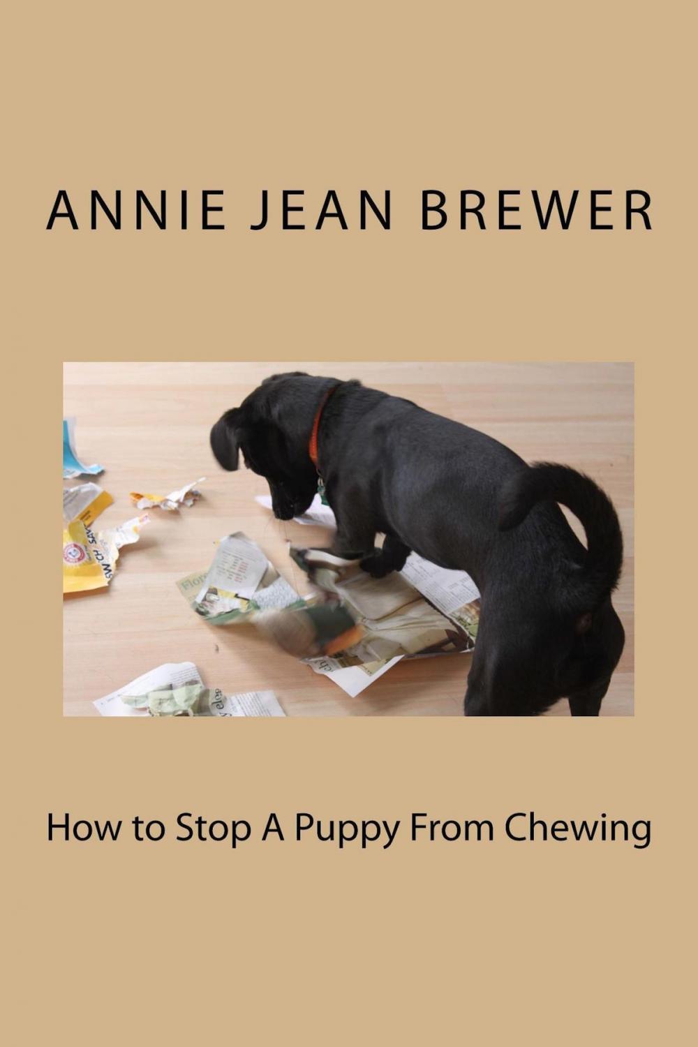 Big bigCover of How to Stop a Puppy From Chewing