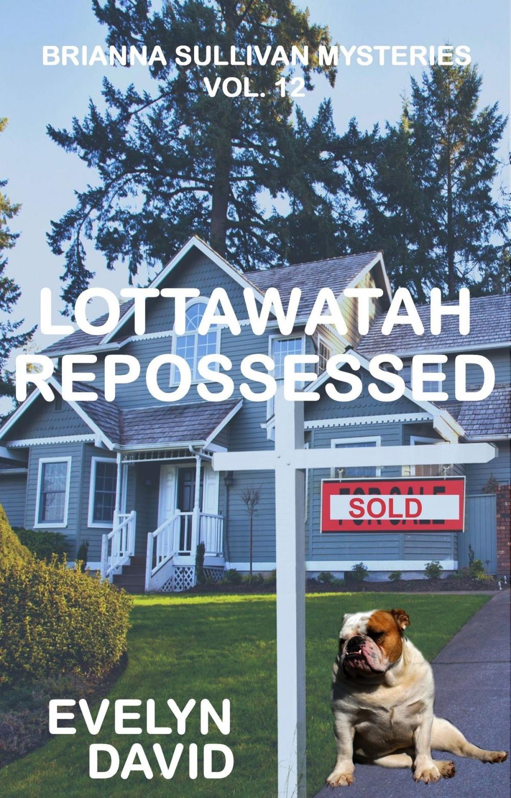 Big bigCover of Lottawatah Repossessed