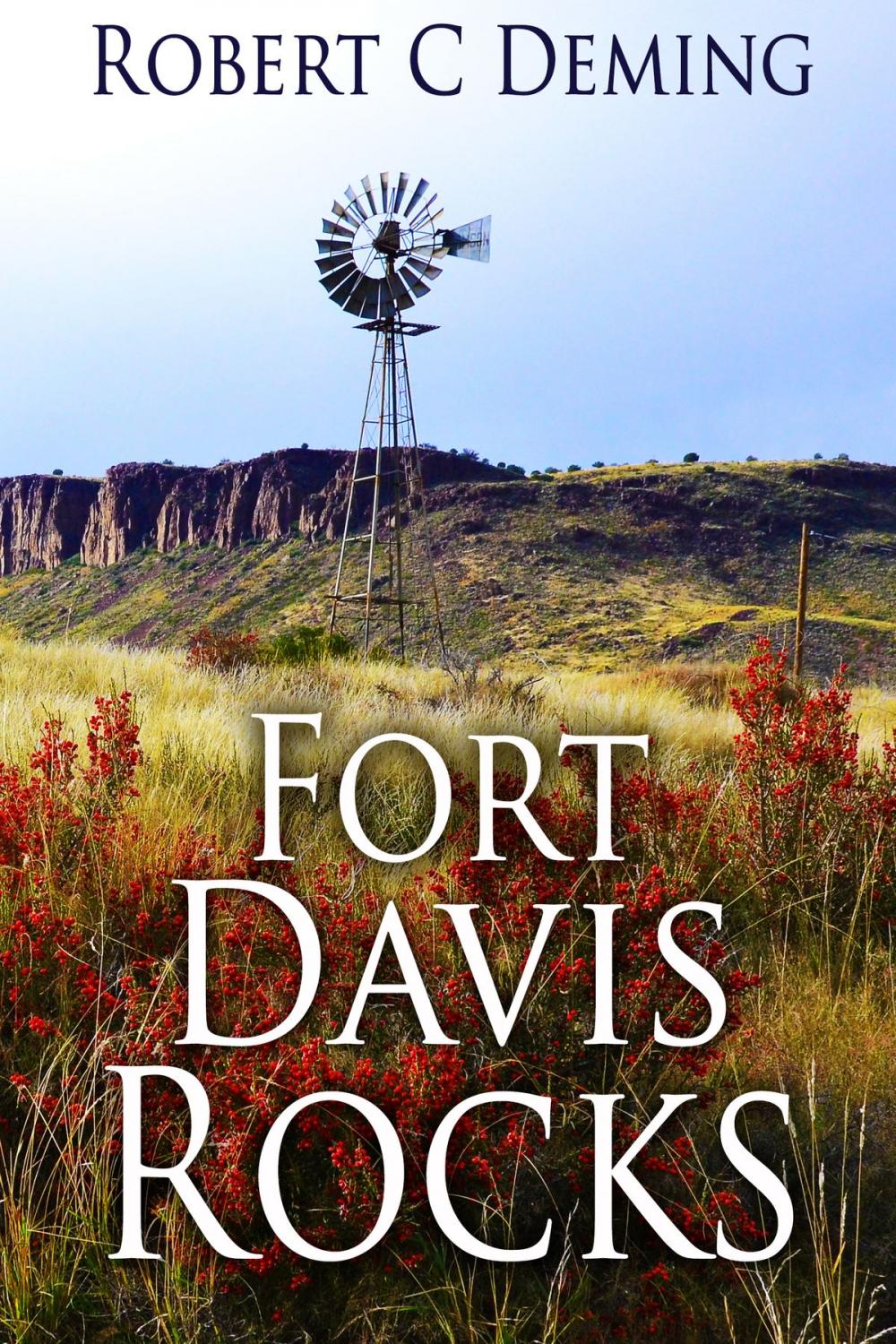 Big bigCover of Fort Davis Rocks