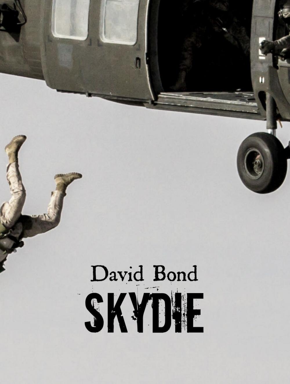 Big bigCover of SkyDie