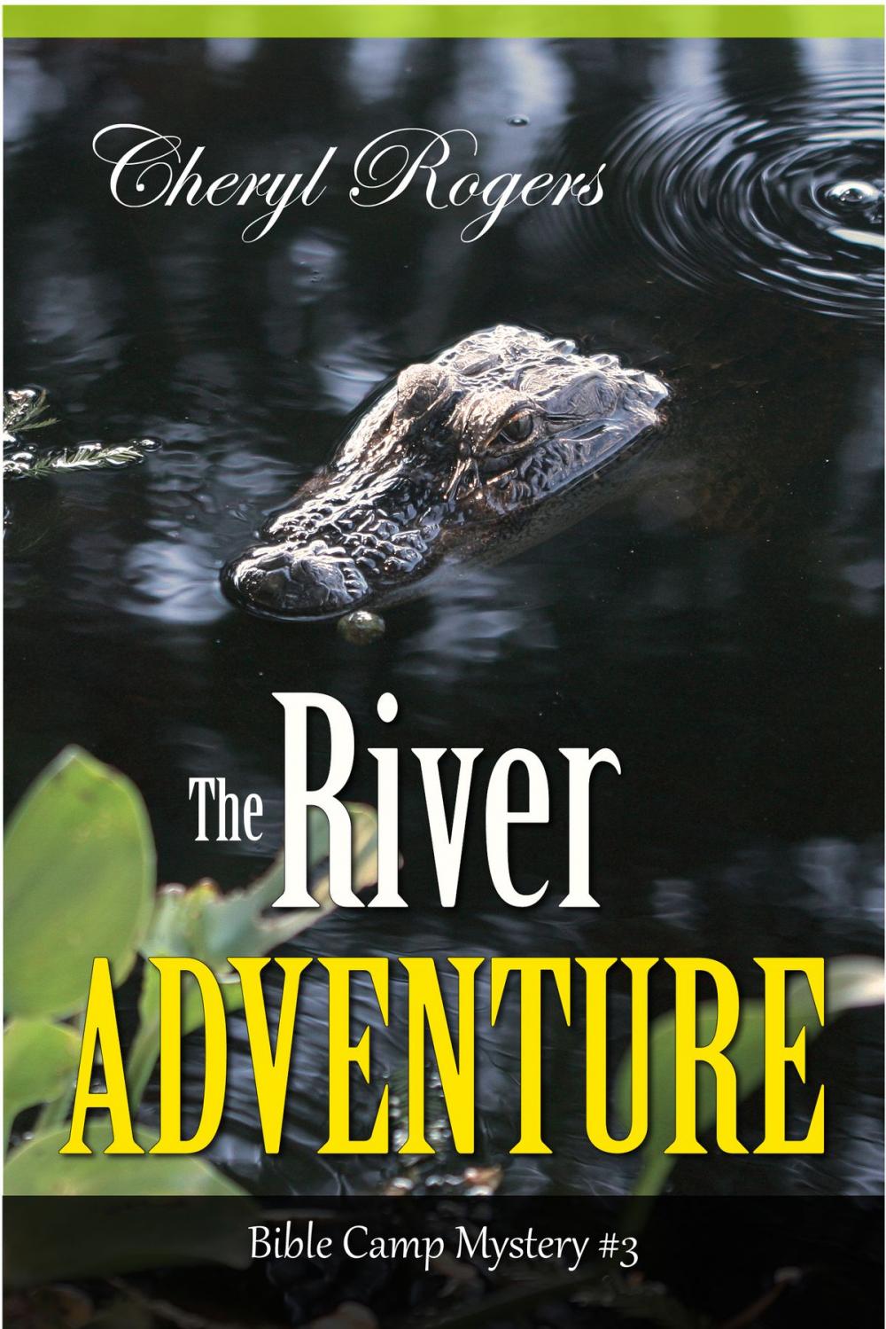 Big bigCover of The River Adventure, Bible Camp Mystery #3