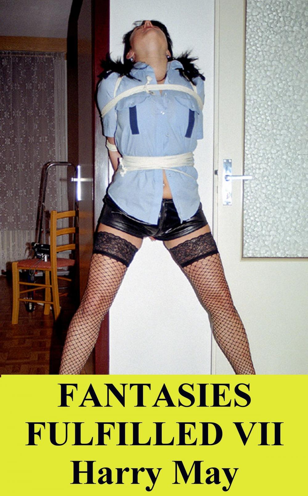 Big bigCover of Fantasies Fulfilled VII