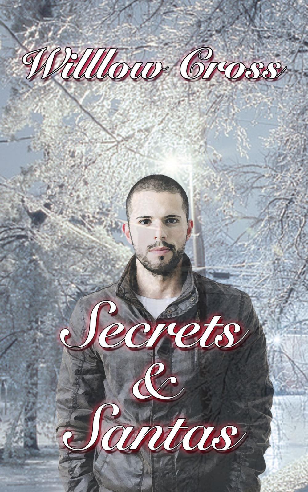 Big bigCover of Secrets and Santas