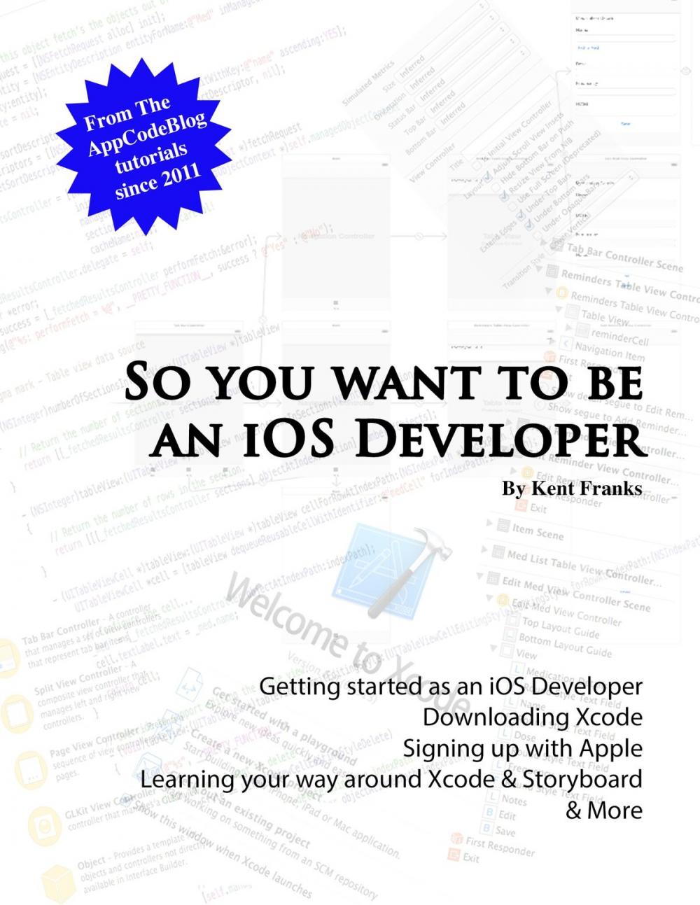 Big bigCover of So You Want To Be an iOS Developer