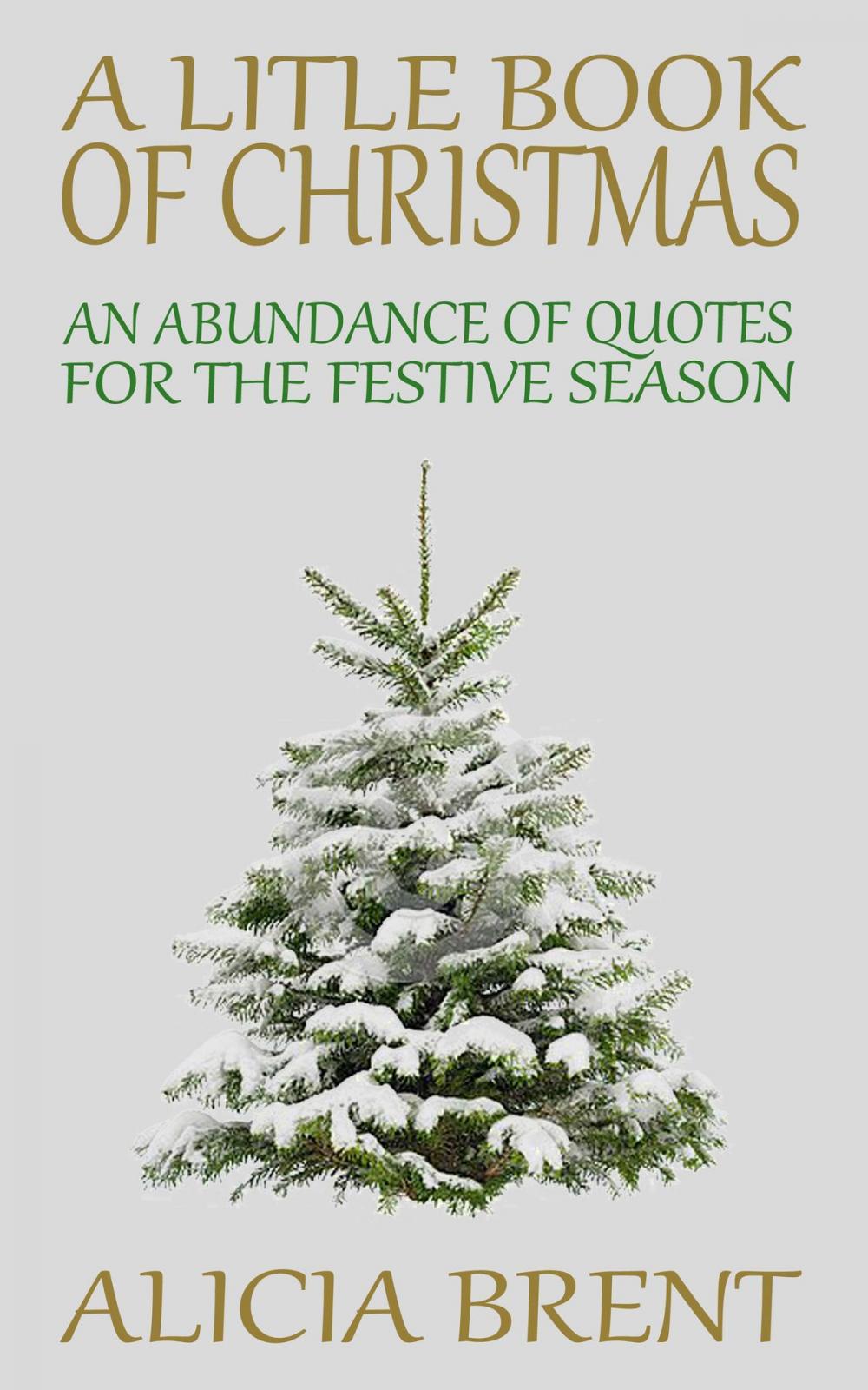 Big bigCover of A Little Book of Christmas: An Abundance of Quotes for the Festive Period