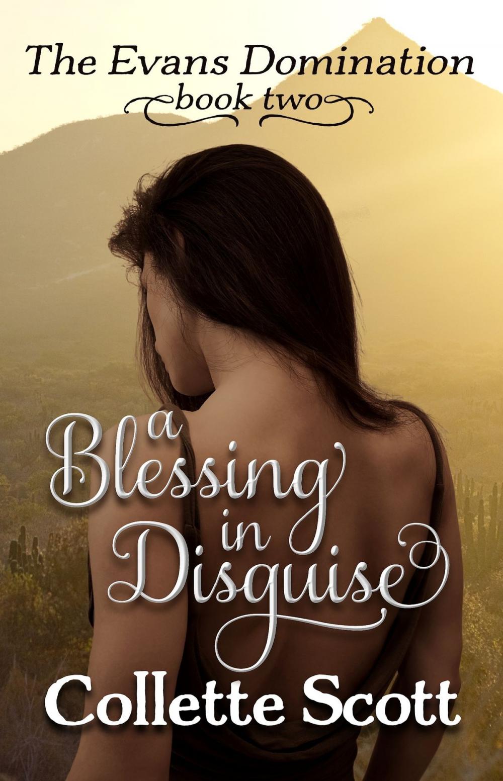 Big bigCover of A Blessing in Disguise (The Evans Domination, Book Two)