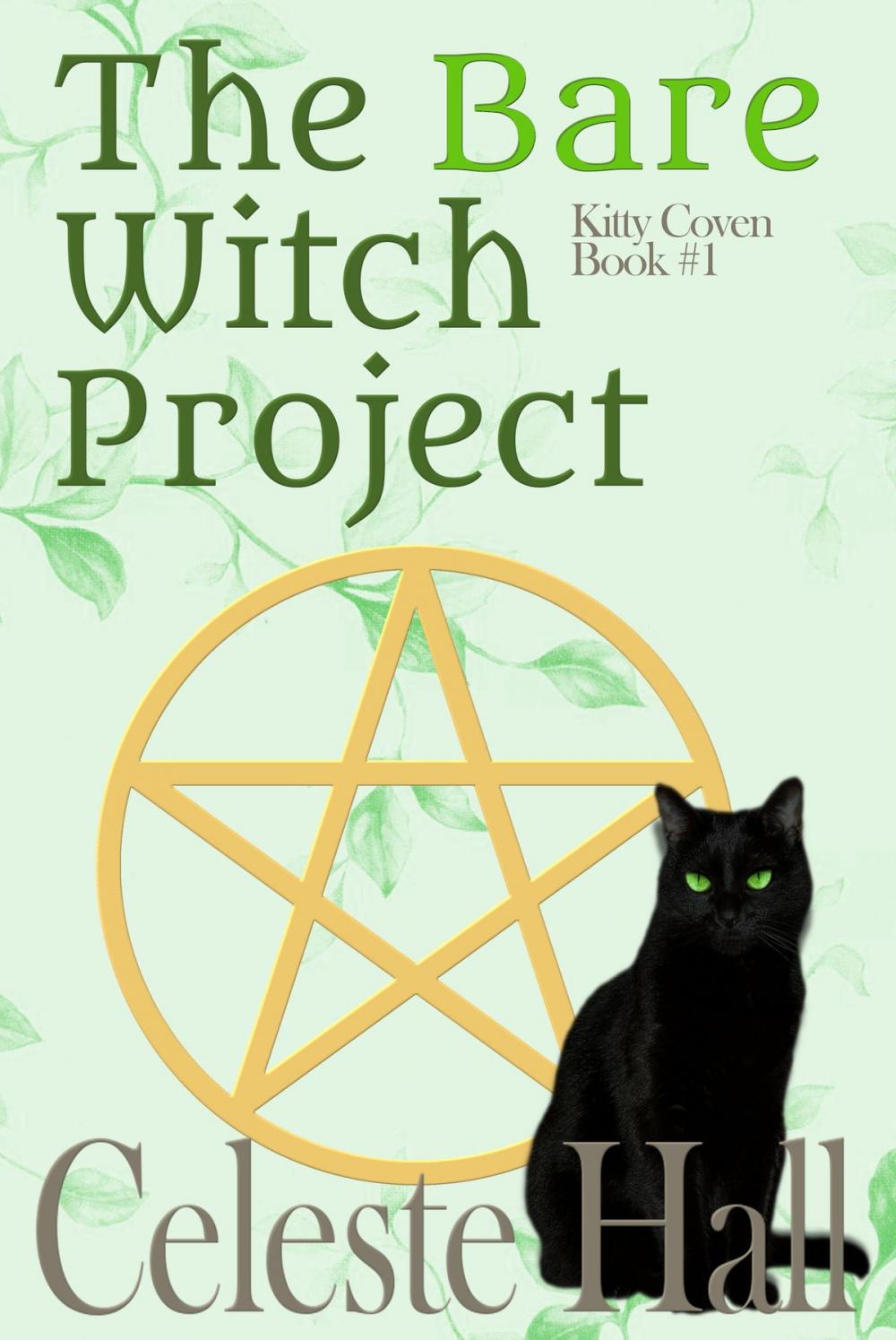 Big bigCover of The Bare Witch Project