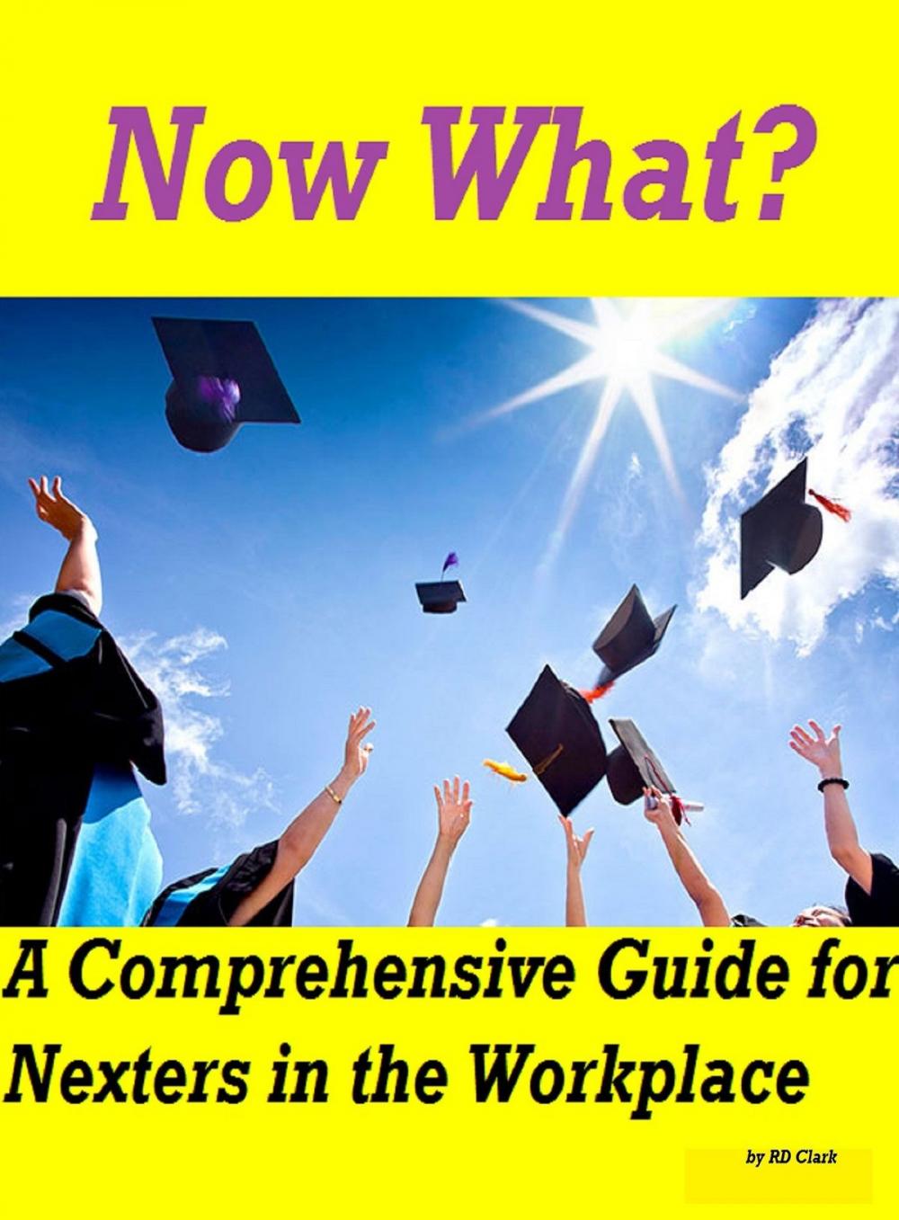 Big bigCover of Now What? A Comprehensive Guide for Nexters in the Workplace