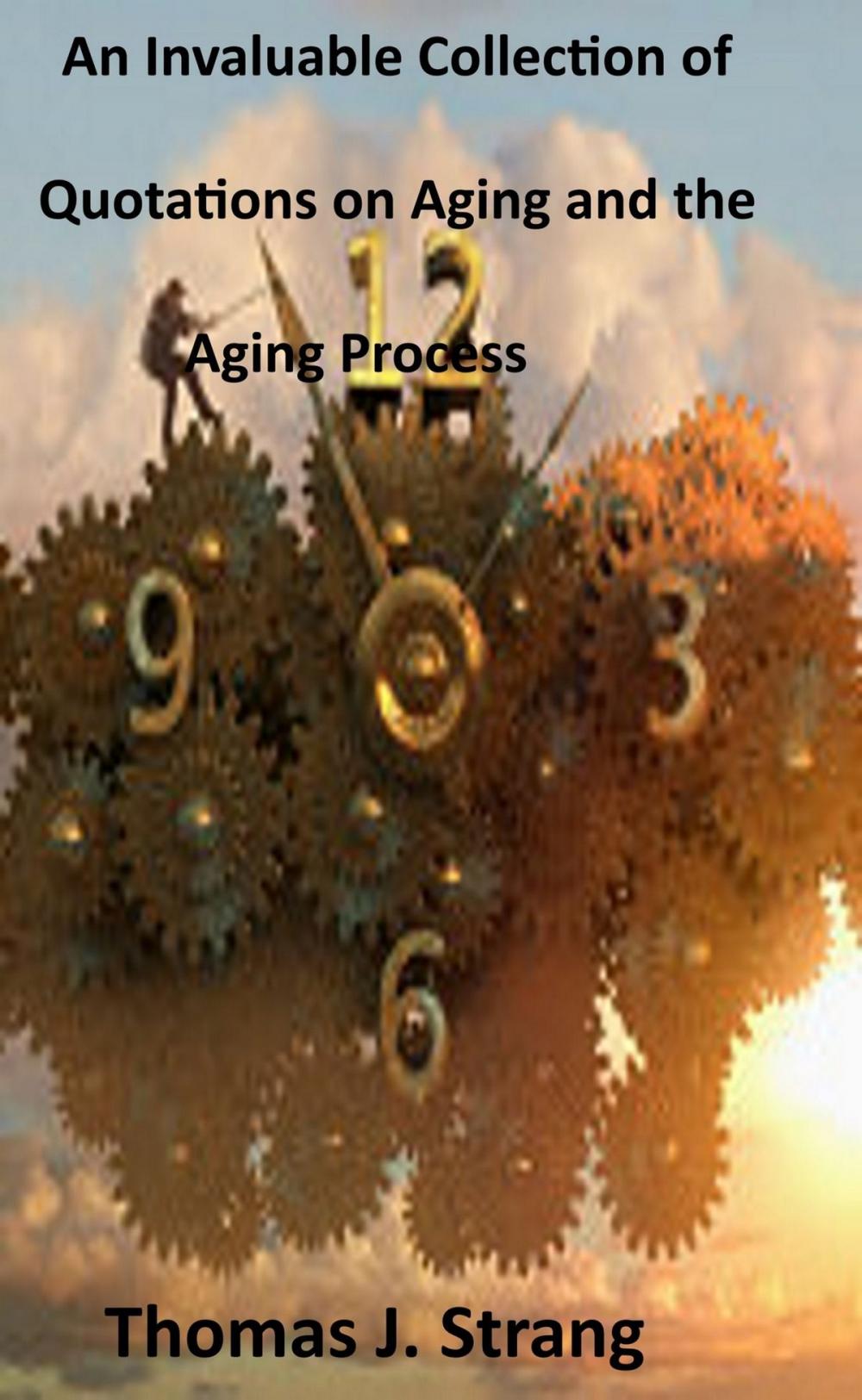 Big bigCover of An Invaluable Collection of Quotations on Aging and the Aging Process