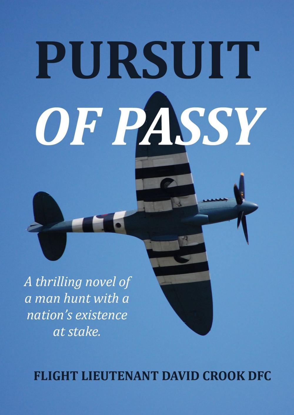 Big bigCover of Pursuit of Passy