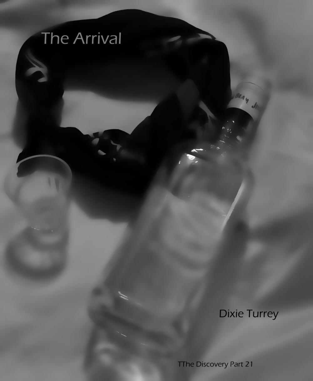 Big bigCover of The Arrival