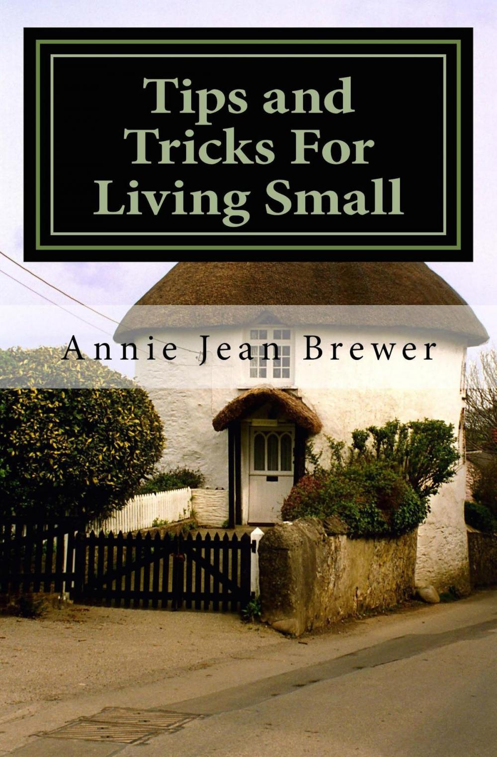 Big bigCover of Tips and Tricks for Living Small