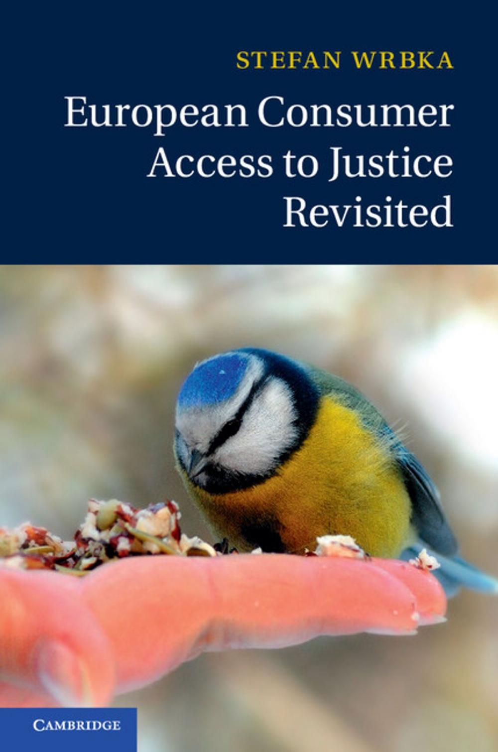 Big bigCover of European Consumer Access to Justice Revisited