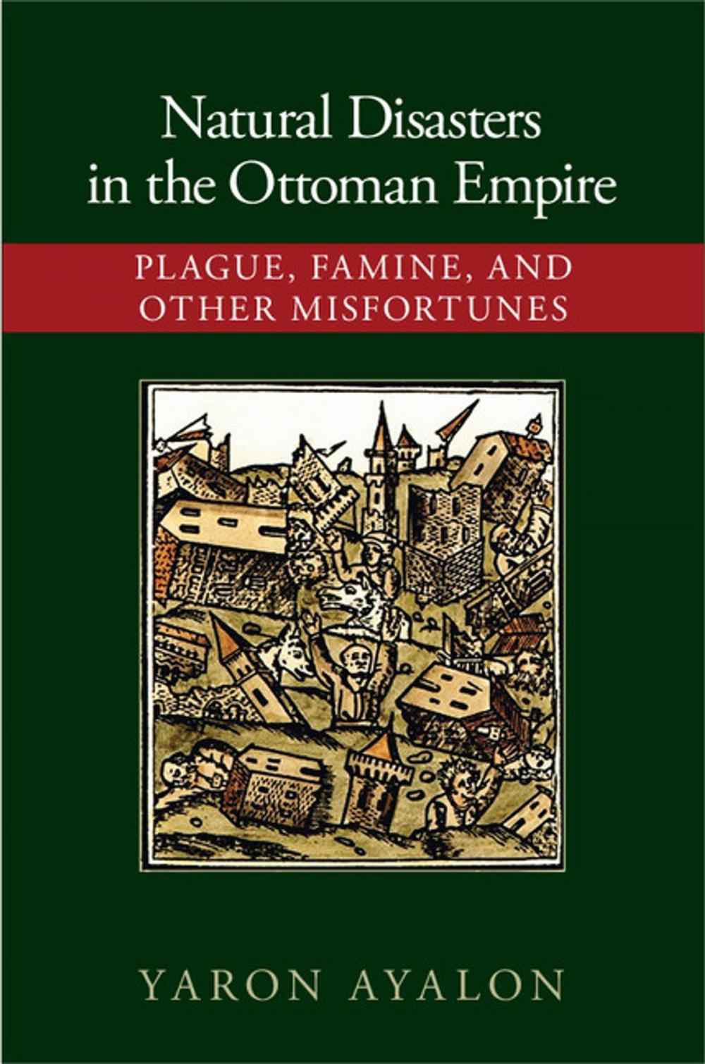 Big bigCover of Natural Disasters in the Ottoman Empire