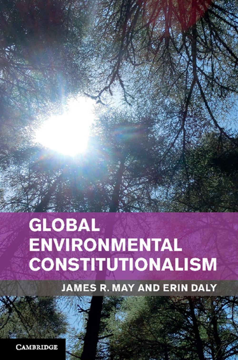 Big bigCover of Global Environmental Constitutionalism