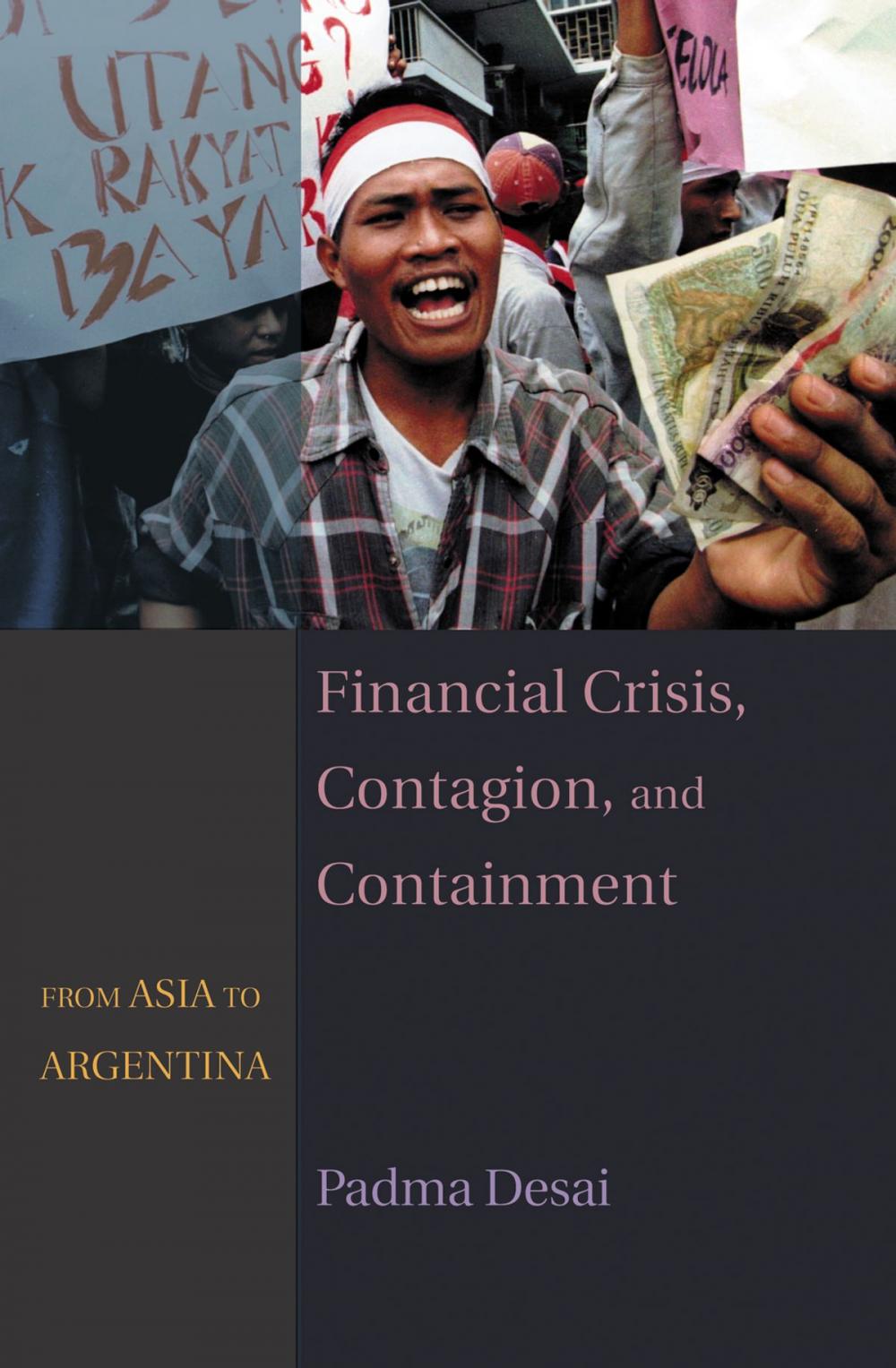 Big bigCover of Financial Crisis, Contagion, and Containment