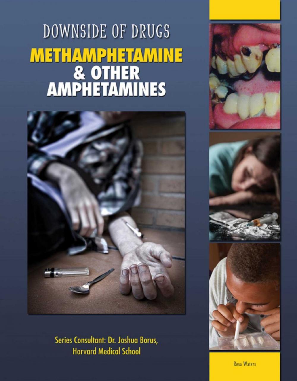 Big bigCover of Methamphetamine & Other Amphetamines