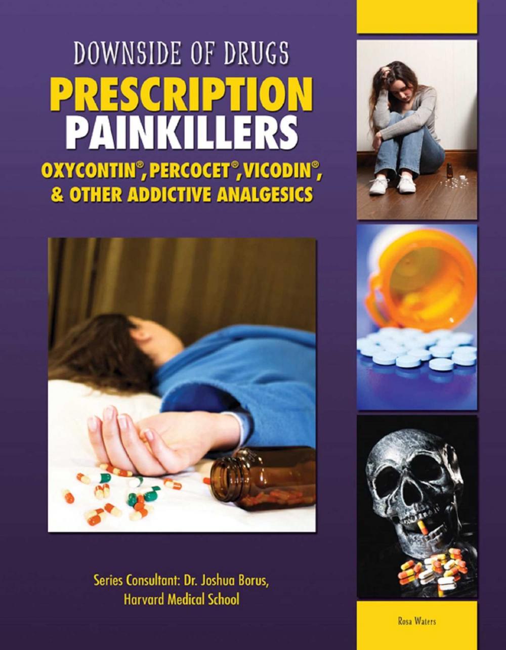 Big bigCover of Prescription Painkillers