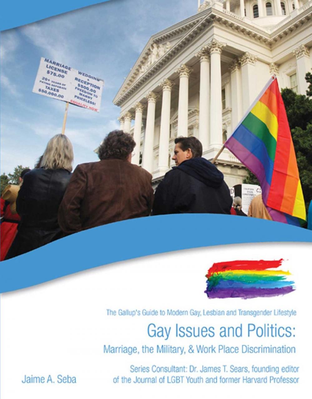 Big bigCover of Gay Issues and Politics