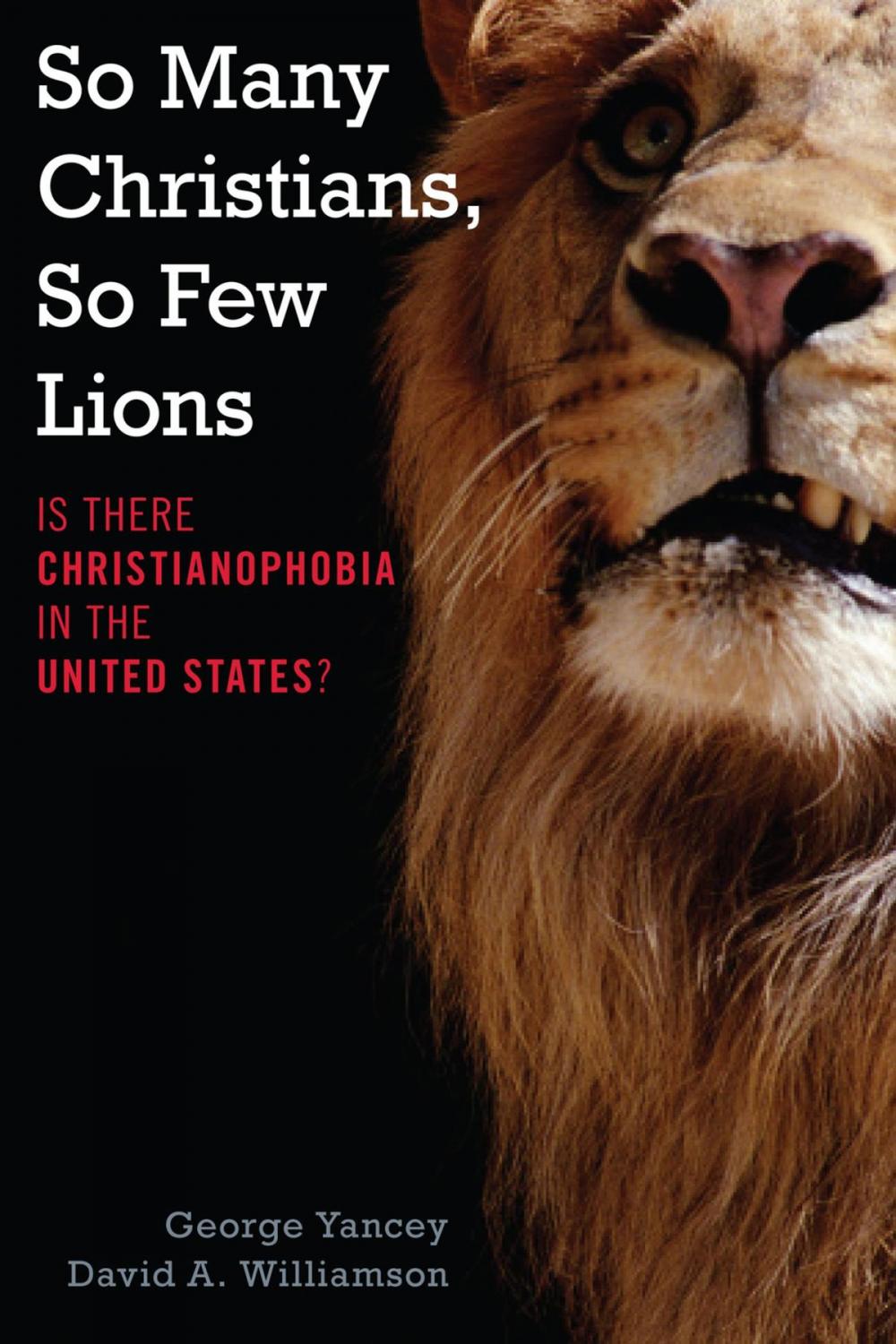 Big bigCover of So Many Christians, So Few Lions