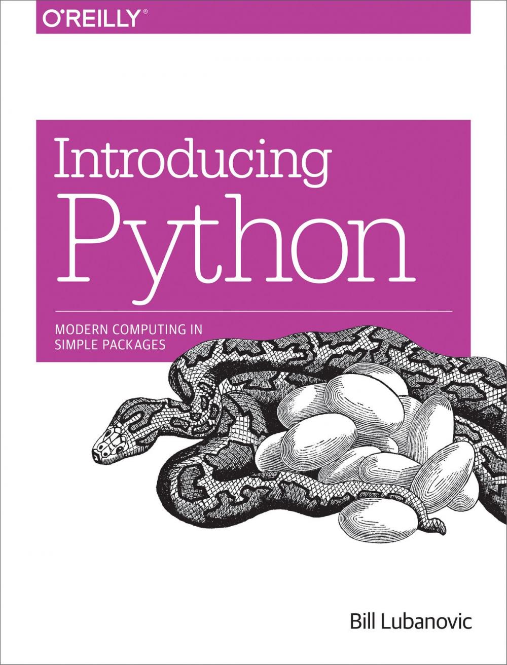 Big bigCover of Introducing Python