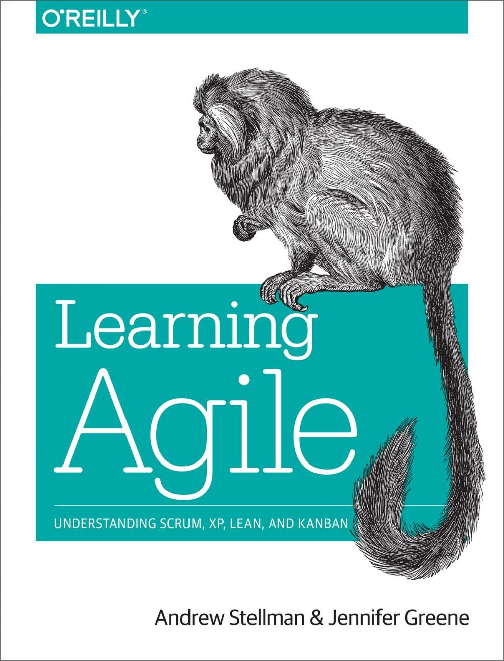 Big bigCover of Learning Agile