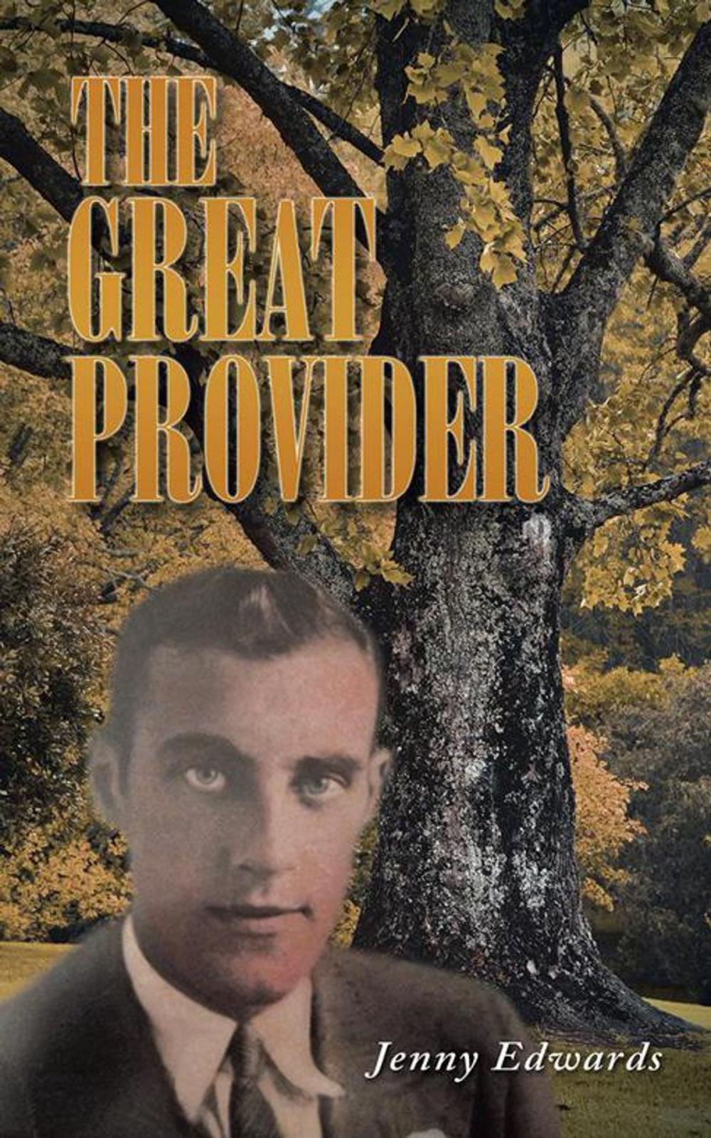 Big bigCover of The Great Provider