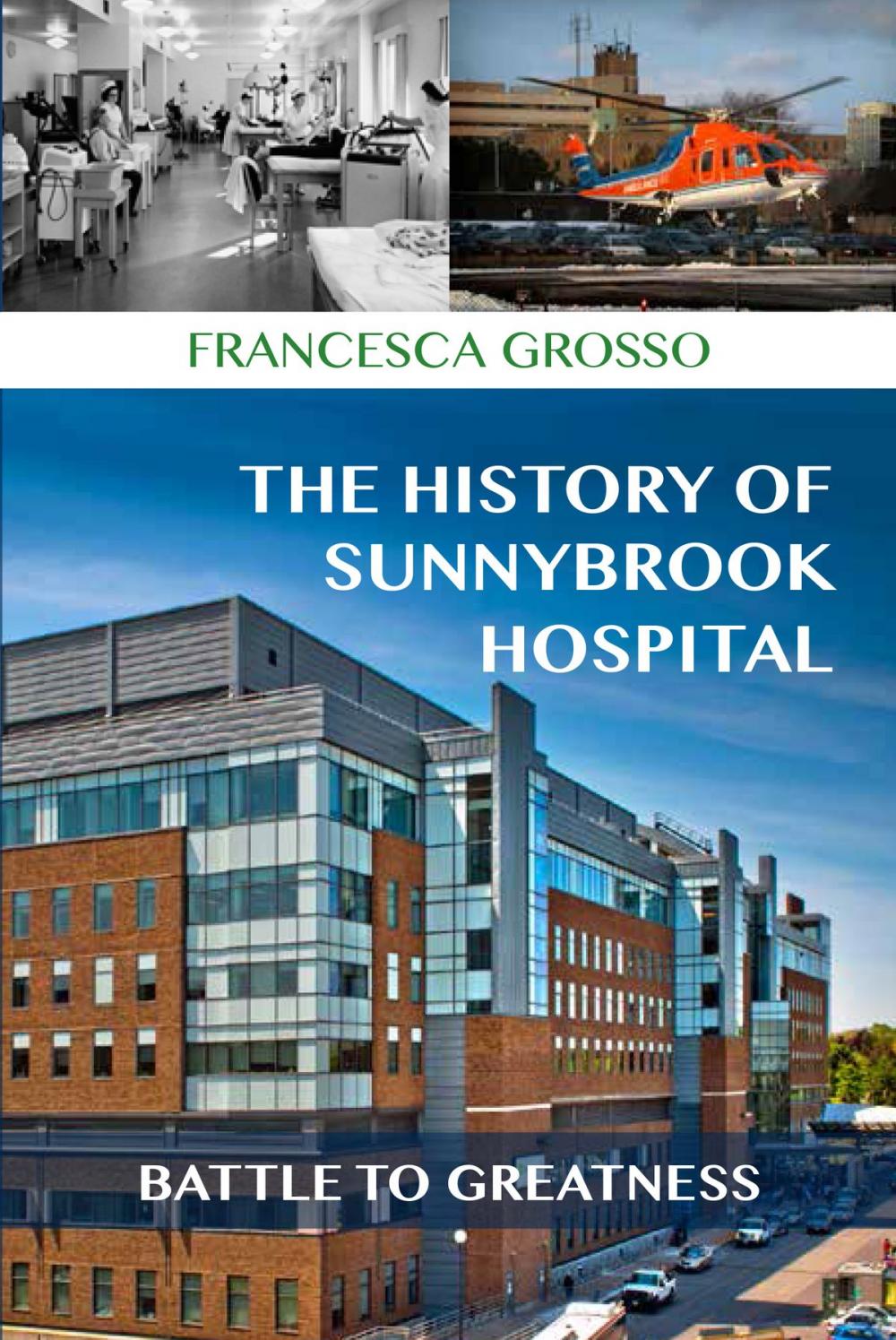 Big bigCover of The History of Sunnybrook Hospital