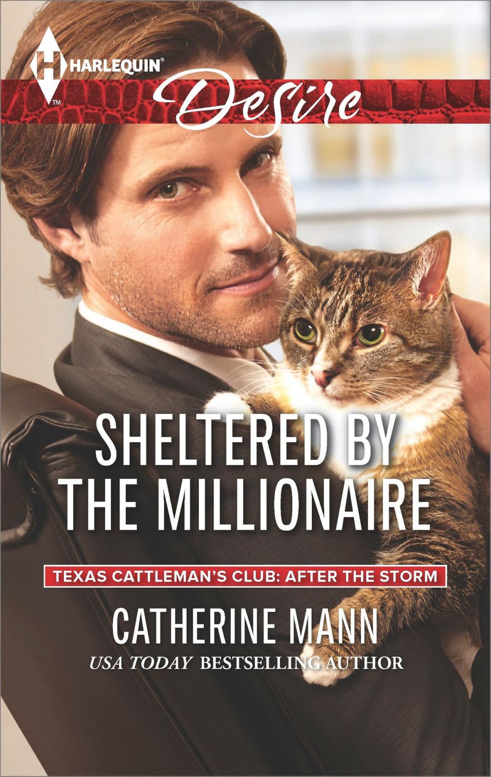 Big bigCover of Sheltered by the Millionaire